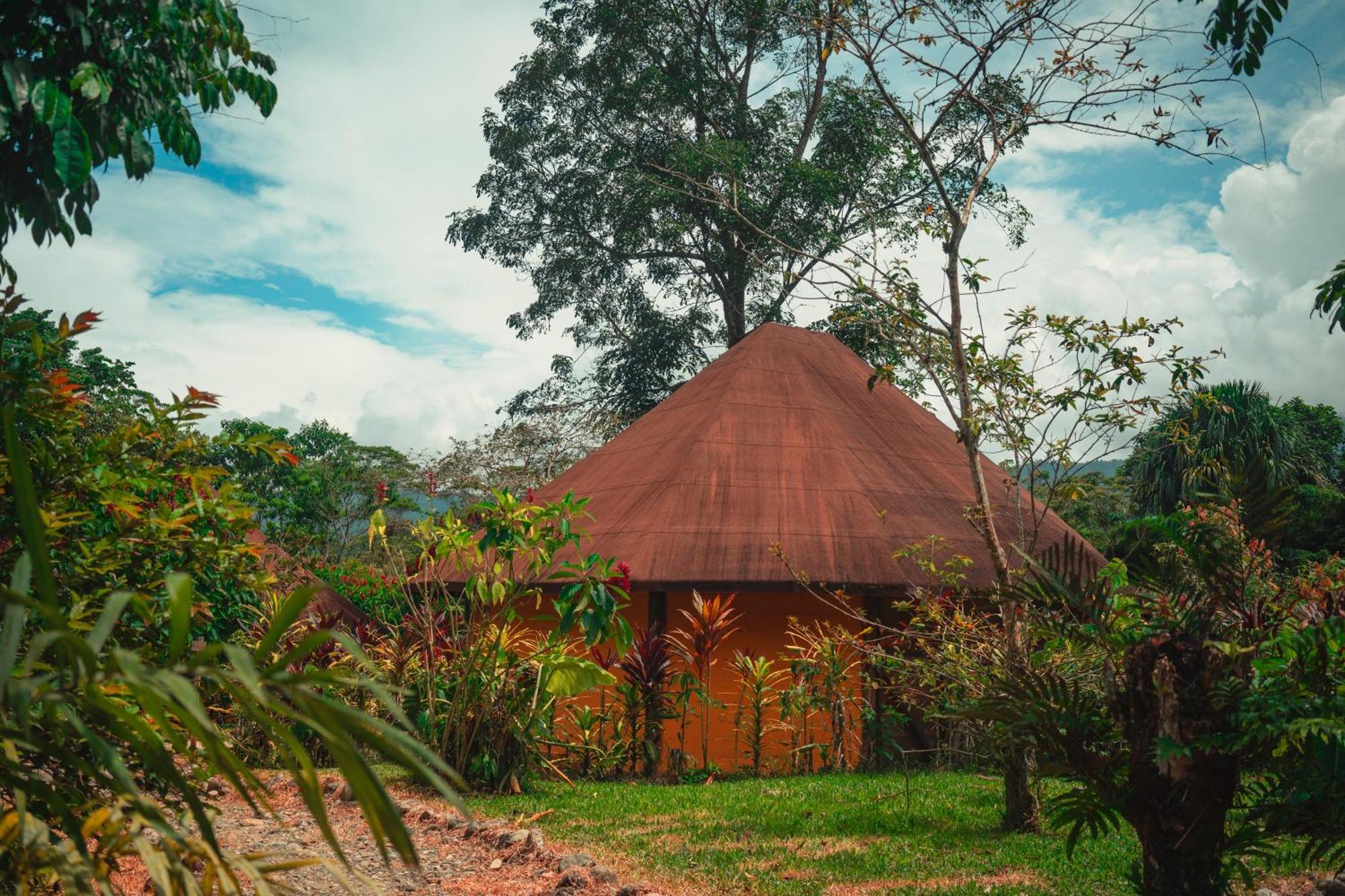 Huasquila Amazon Lodge Cotundo Экстерьер фото